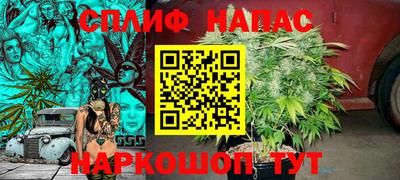 амф Севастополь